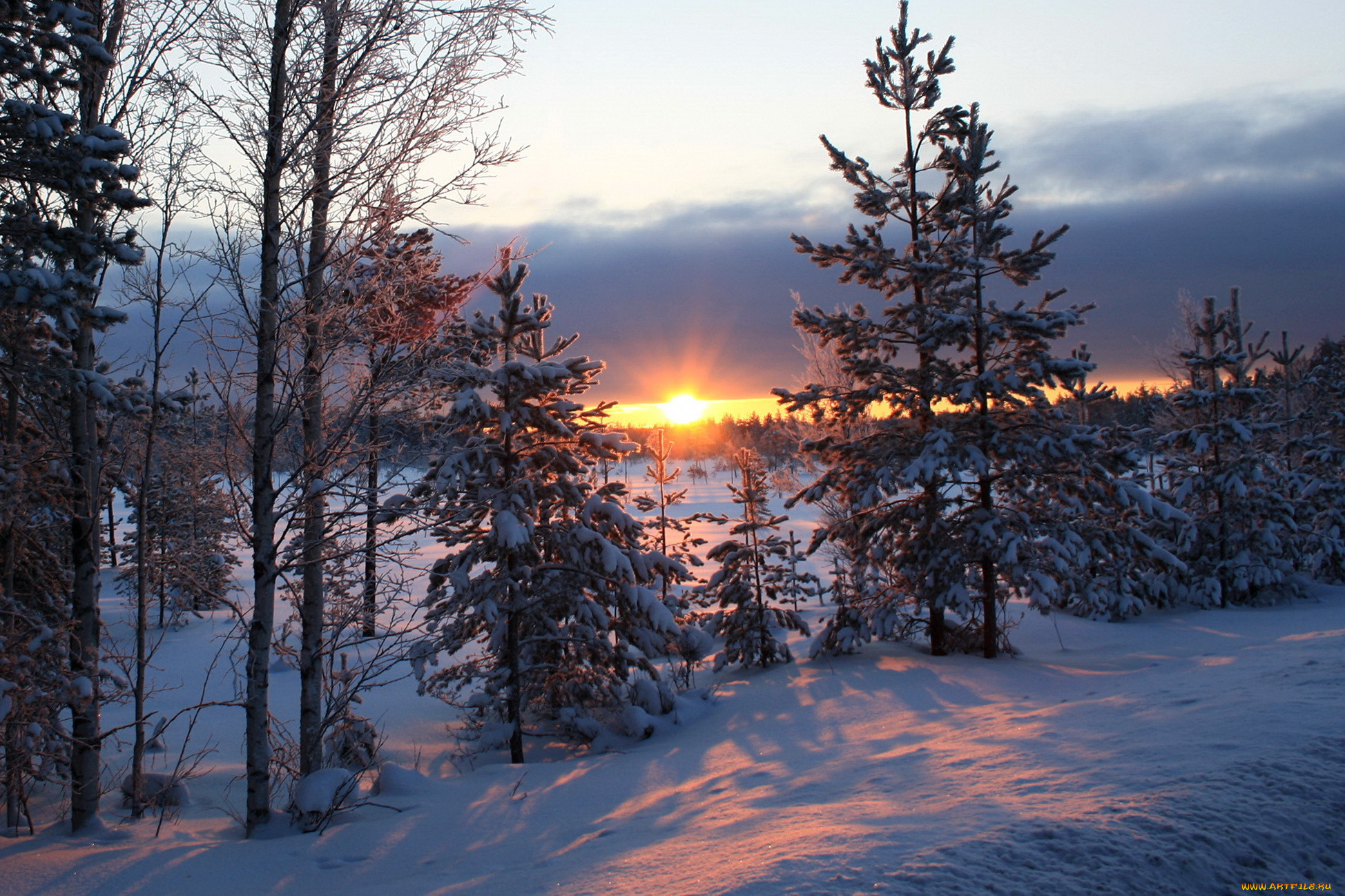 Зимняя температура в тайге. Закат в зимнем лесу. Рассвет в лесу зимой. Рассвет в зимнем лесу. Зимний лес солнце.